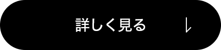 続きを見る